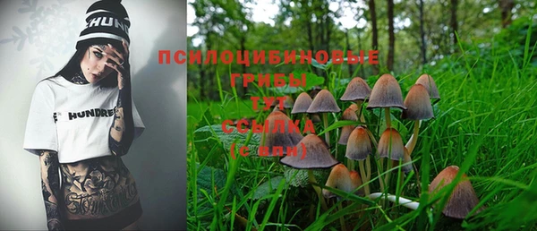 спиды Абдулино