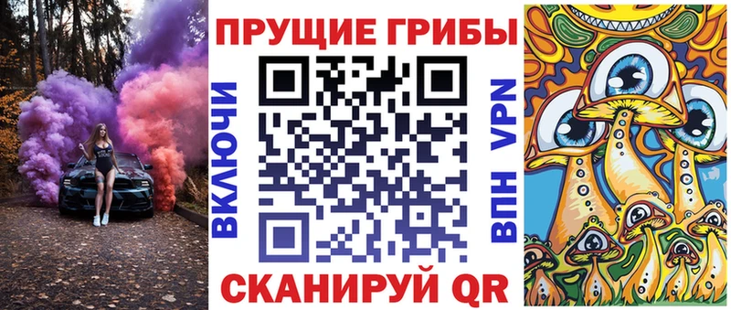 Псилоцибиновые грибы прущие грибы  Галич 